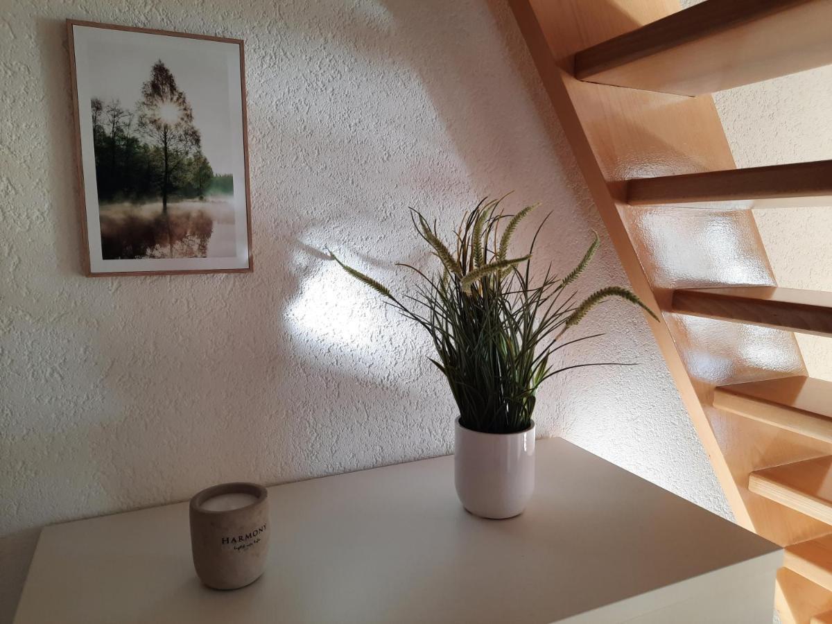 Ferienhaus Am Erzgebirgskamm Marienberg Ngoại thất bức ảnh